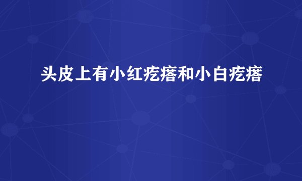 头皮上有小红疙瘩和小白疙瘩