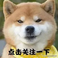 怎样才能找到兰花龙蛋?