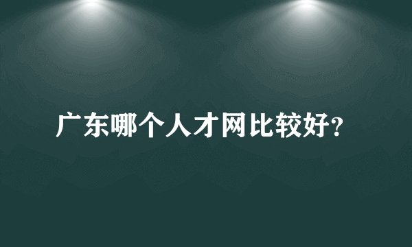广东哪个人才网比较好？
