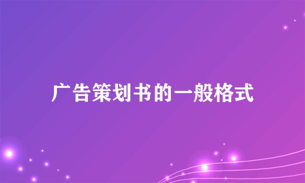 广告策划书的一般格式