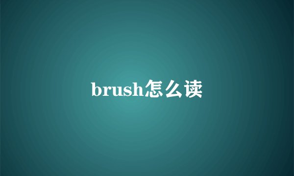 brush怎么读