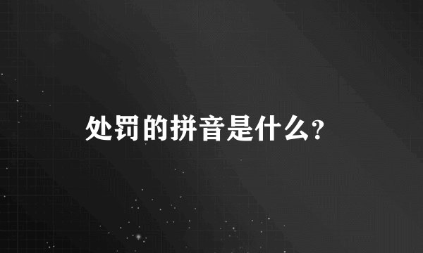 处罚的拼音是什么？