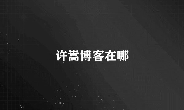 许嵩博客在哪