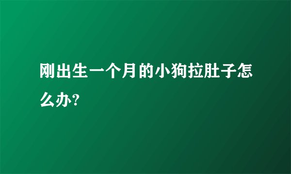 刚出生一个月的小狗拉肚子怎么办?