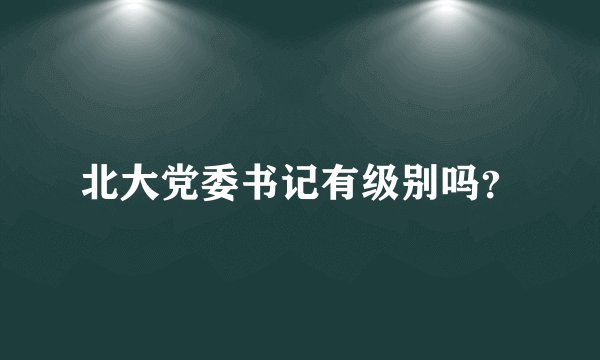 北大党委书记有级别吗？