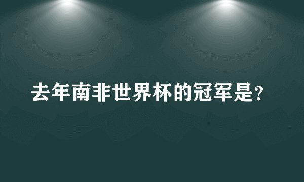 去年南非世界杯的冠军是？
