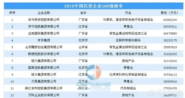 中国最大的私人企业?