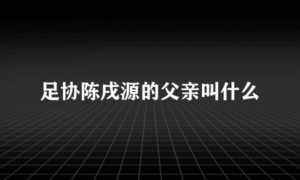 足协陈戌源的父亲叫什么