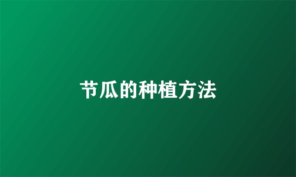 节瓜的种植方法