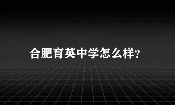 合肥育英中学怎么样？