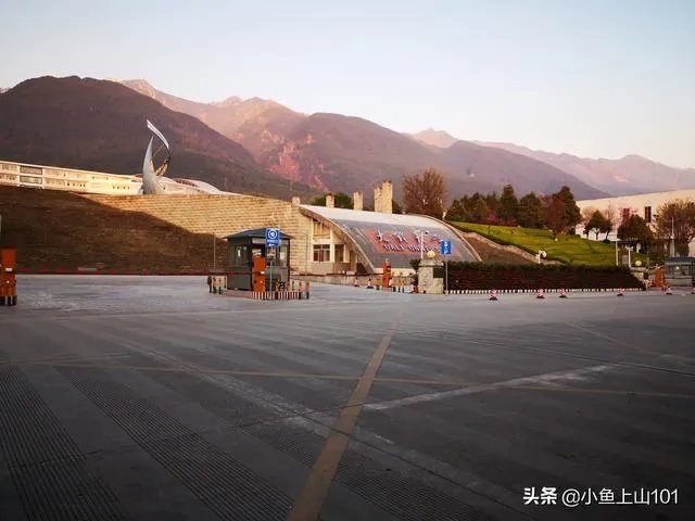大理大学的樱花真的很多吗?好看吗?