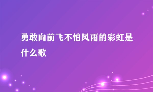 勇敢向前飞不怕风雨的彩虹是什么歌