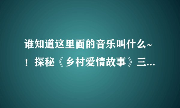 谁知道这里面的音乐叫什么~！探秘《乡村爱情故事》三大男主角-刘小光王小利唐鉴军