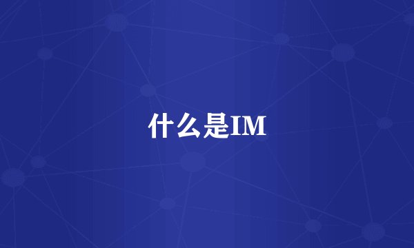 什么是IM
