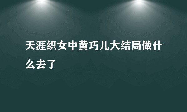 天涯织女中黄巧儿大结局做什么去了