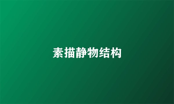素描静物结构