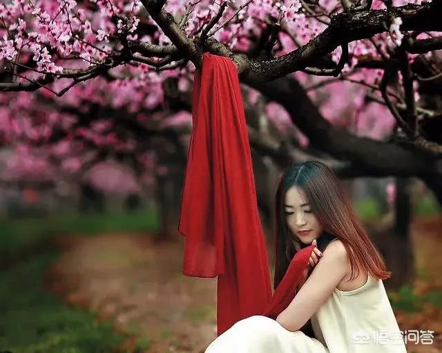 蒋大为唱的那首《在那桃花盛开的地方》,到底是哪个地方?