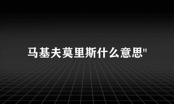 马基夫莫里斯什么意思
