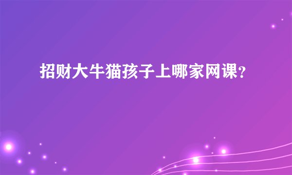 招财大牛猫孩子上哪家网课？