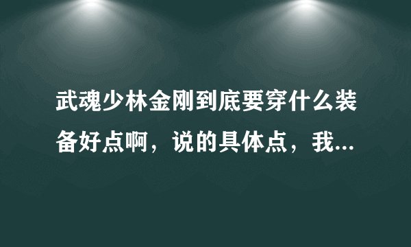 武魂少林金刚到底要穿什么装备好点啊，说的具体点，我看有的人穿无畏的，有的是军功的，