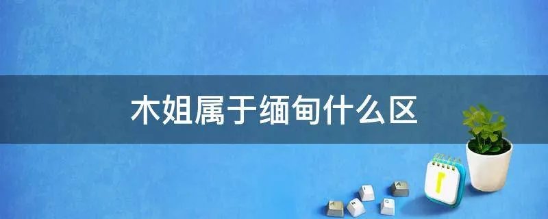 木姐属于缅甸什么区