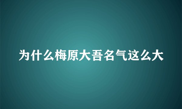 为什么梅原大吾名气这么大