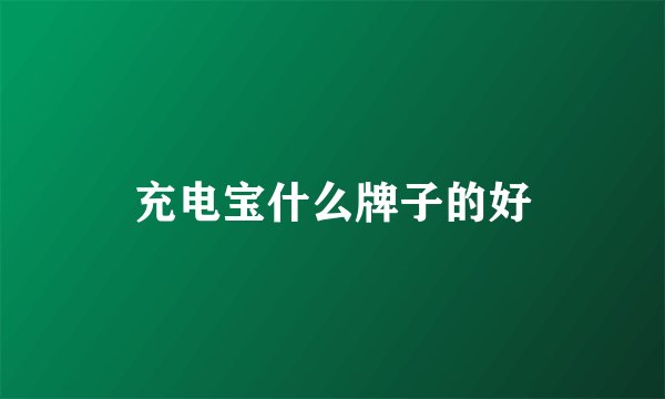 充电宝什么牌子的好