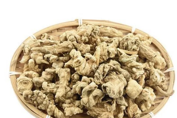 竹节参图片