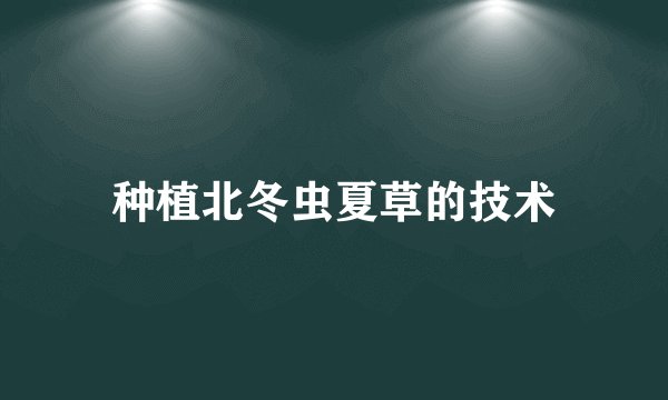 种植北冬虫夏草的技术