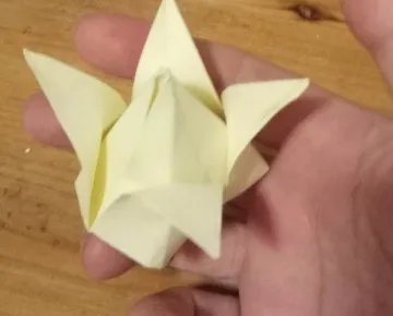 郁金香的折法
