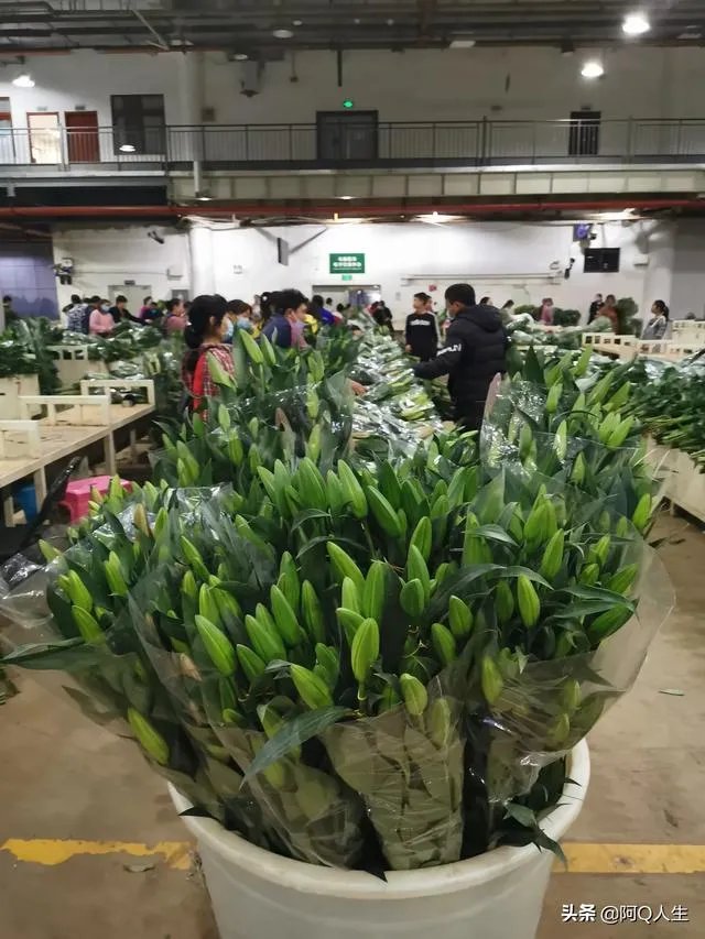 花卉批发一般去哪里呢?