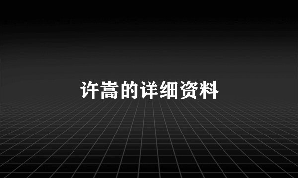 许嵩的详细资料