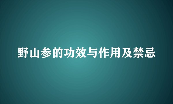 野山参的功效与作用及禁忌
