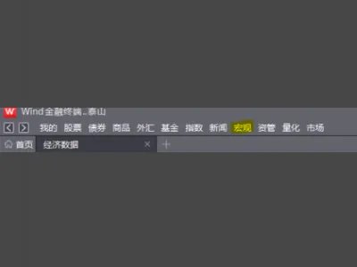 wind数据免费查询