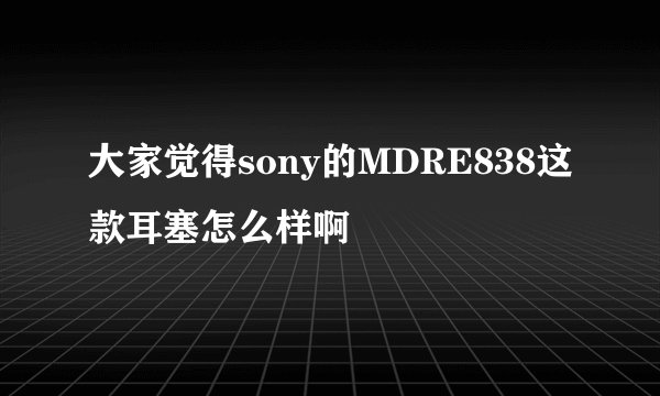 大家觉得sony的MDRE838这款耳塞怎么样啊