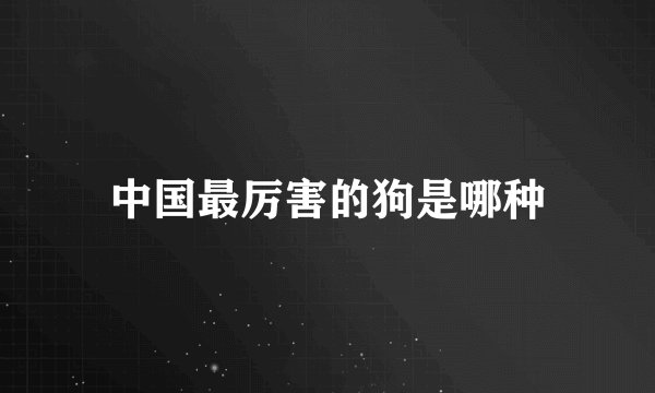 中国最厉害的狗是哪种