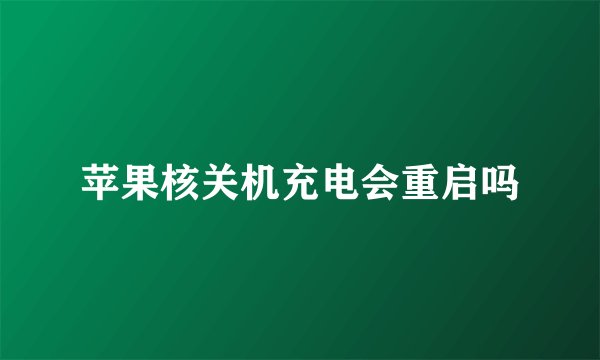 苹果核关机充电会重启吗