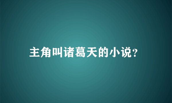 主角叫诸葛天的小说？