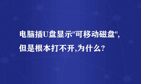 电脑插U盘显示