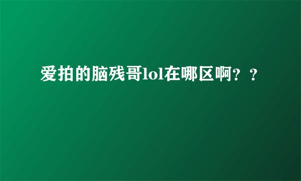 爱拍的脑残哥lol在哪区啊？？