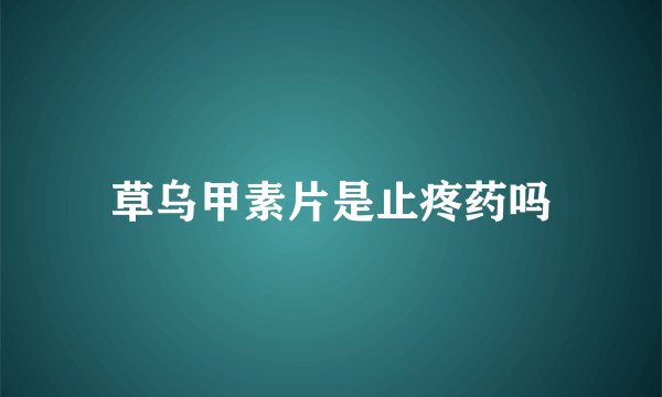 草乌甲素片是止疼药吗