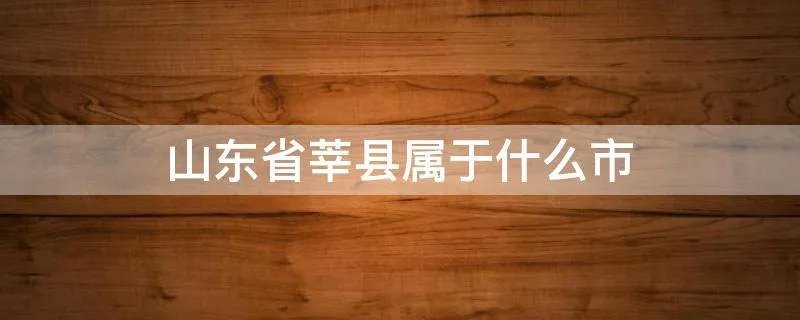 山东省莘县属于什么市