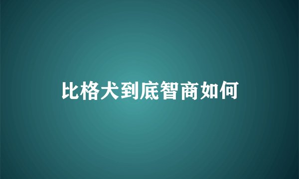 比格犬到底智商如何