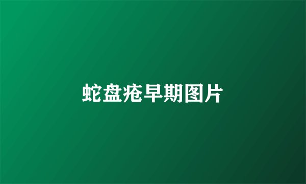 蛇盘疮早期图片