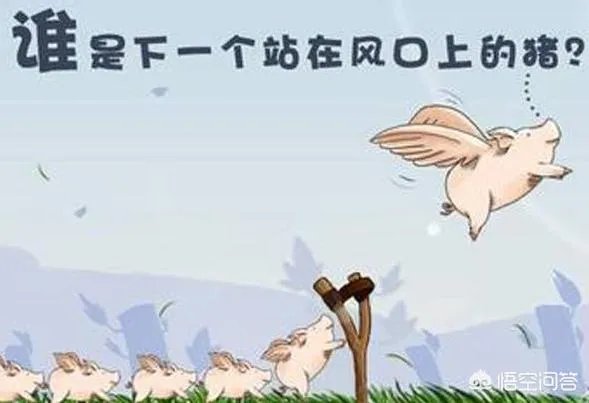 今日头条小程序开发，会是下一个风口吗？