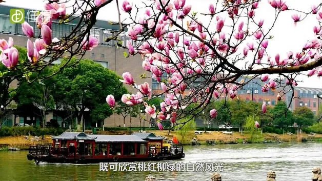 苏州旅游攻略