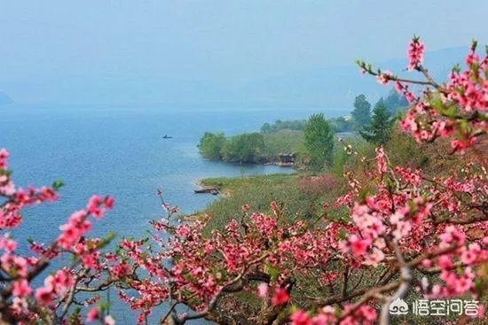 蒋大为唱的那首《在那桃花盛开的地方》,到底是哪个地方?