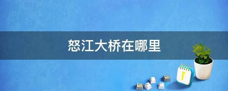 怒江大桥在哪里