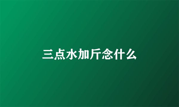 三点水加斤念什么