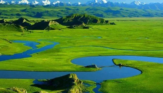 为什么湿地被称为“地球之肾?